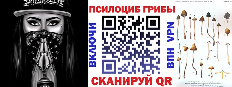 Псилоцибиновые грибы Psilocybine cubensis  mega ссылки  Ленинск 